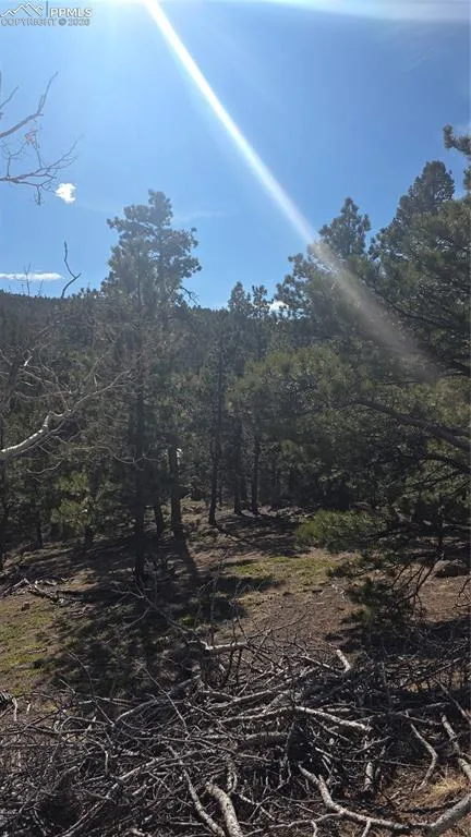 169 Osoeola Road Woodland Park, CO 80863