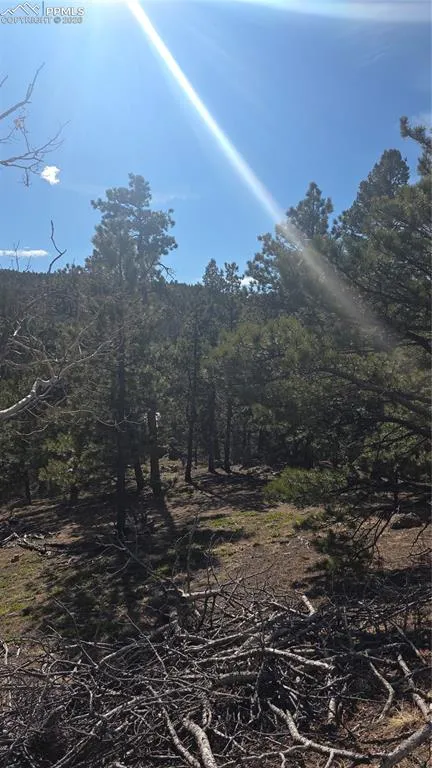 169 Osoeola Road Woodland Park, CO 80863