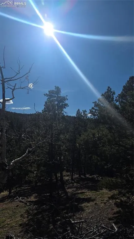 169 Osoeola Road Woodland Park, CO 80863
