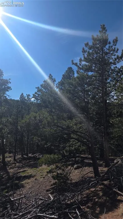 169 Osoeola Road Woodland Park, CO 80863