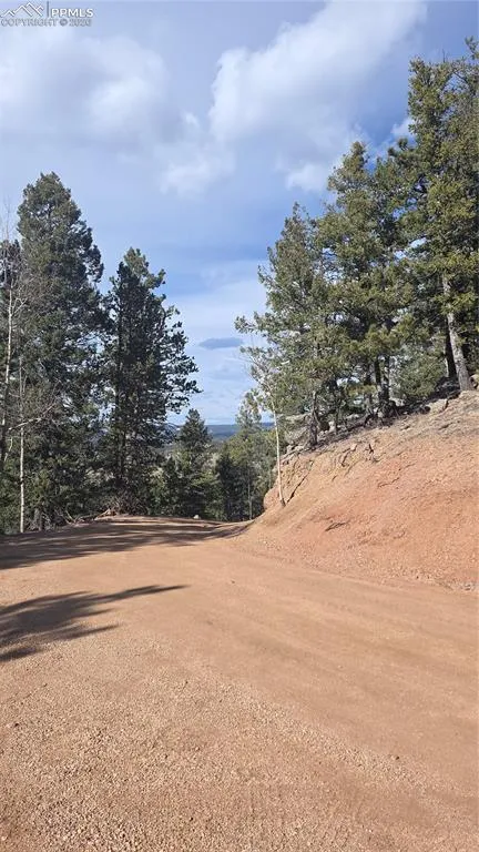 169 Osoeola Road Woodland Park, CO 80863