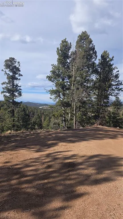 169 Osoeola Road Woodland Park, CO 80863