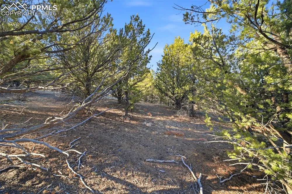 94 Piute Drive Canon City, CO 81212