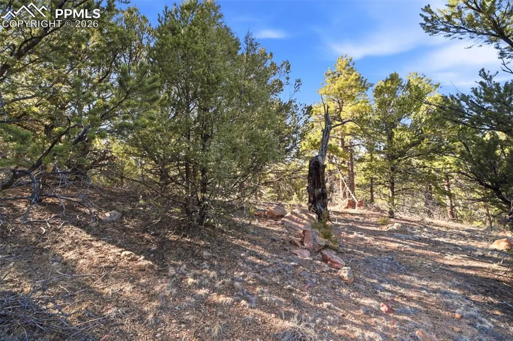 94 Piute Drive Canon City, CO 81212