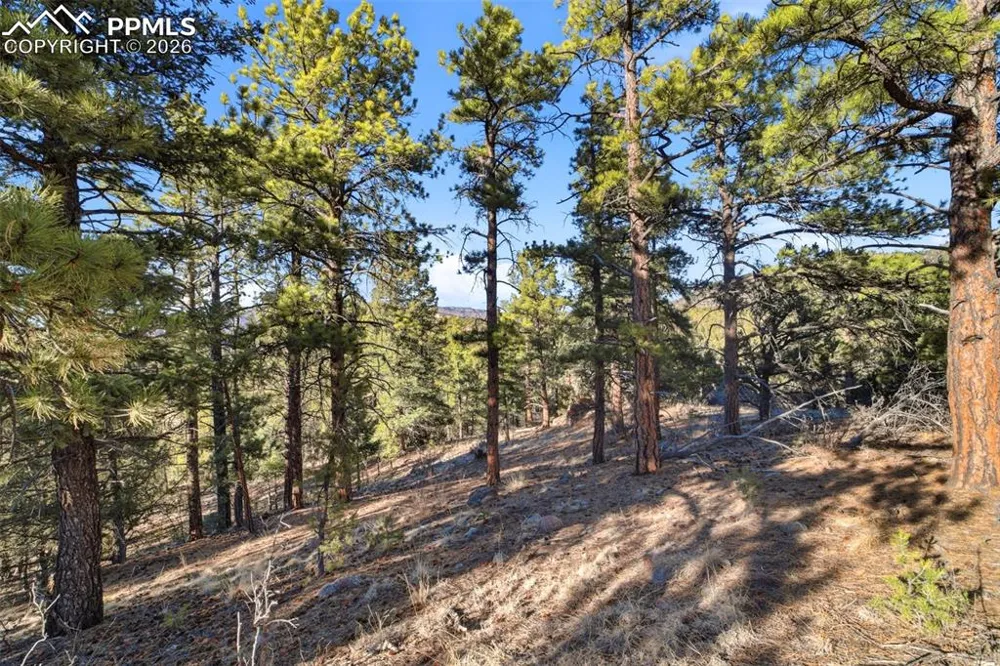 94 Piute Drive Canon City, CO 81212