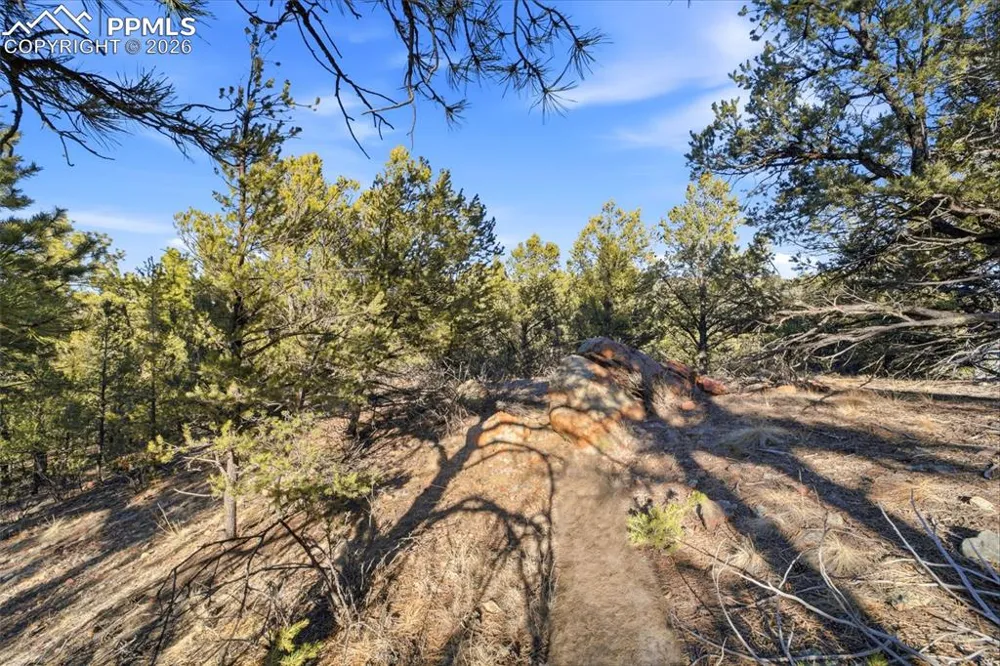 94 Piute Drive Canon City, CO 81212