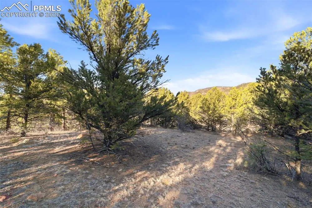 94 Piute Drive Canon City, CO 81212