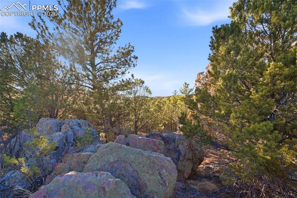 94 Piute Drive Canon City, CO 81212