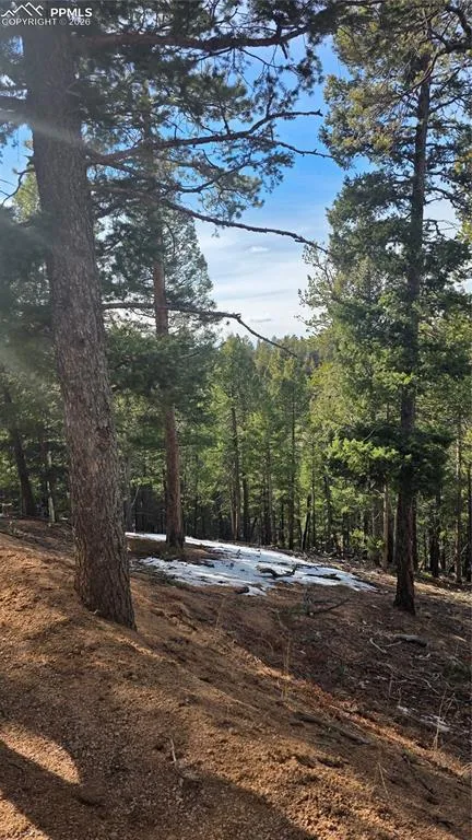 307 Tillicum Trail