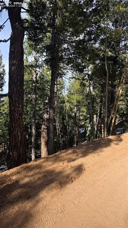 307 Tillicum Trail Woodland Park, CO 80863