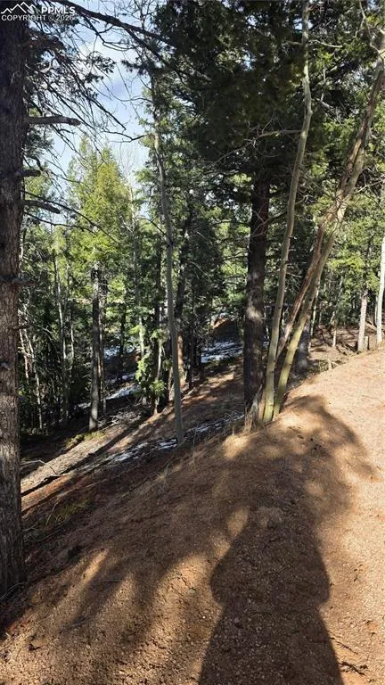 307 Tillicum Trail Woodland Park, CO 80863