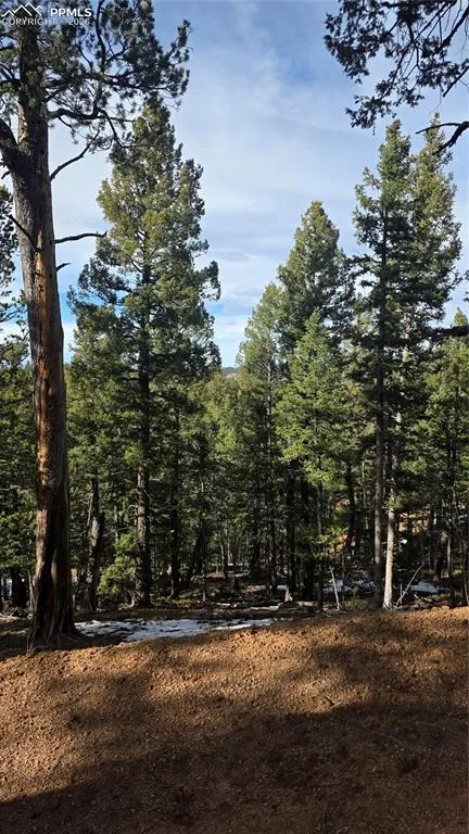 321 Tillicum Trail