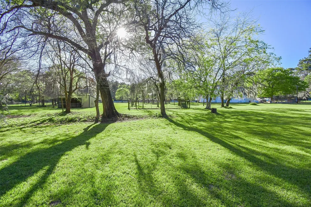 24640 Macedonia Road Hockley, TX 77447