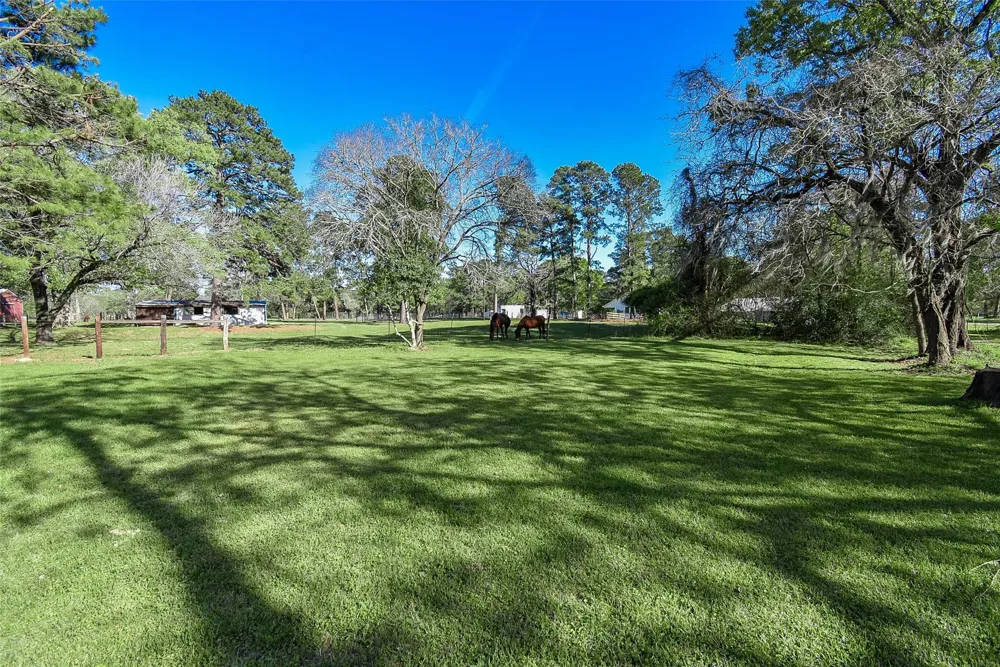 24640 Macedonia Road Hockley, TX 77447