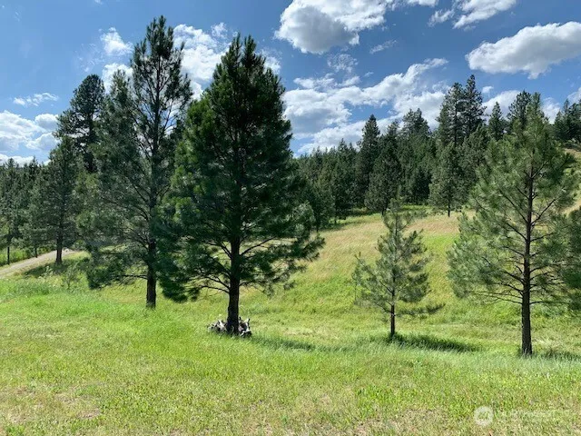 35 Low Ridge Road Malo, WA 99150