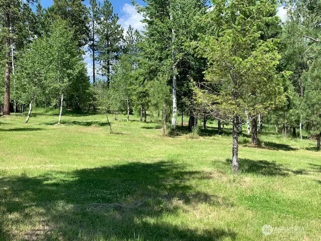 35 Low Ridge Road Malo, WA 99150