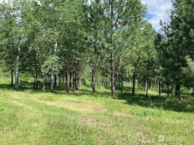 35 Low Ridge Road Malo, WA 99150
