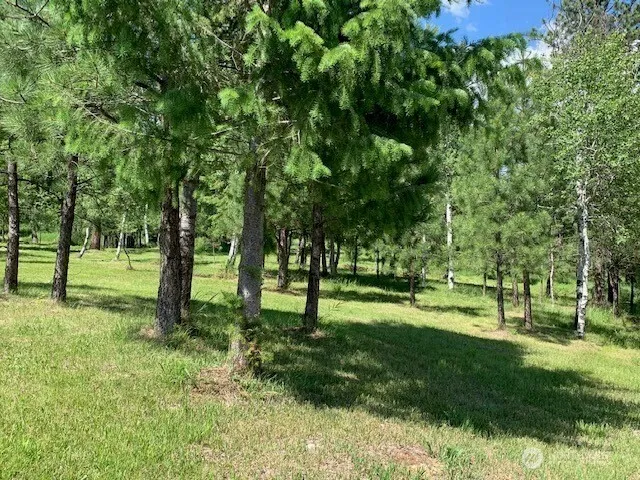 35 Low Ridge Road Malo, WA 99150