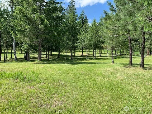 35 Low Ridge Road Malo, WA 99150