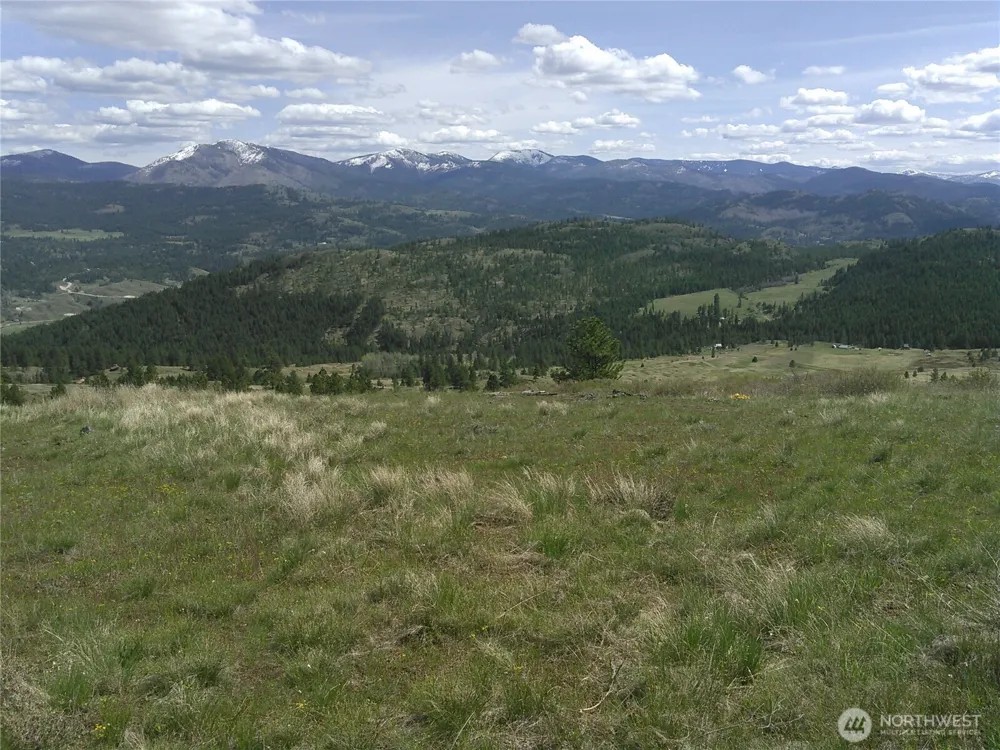 35 Low Ridge Road Malo, WA 99150