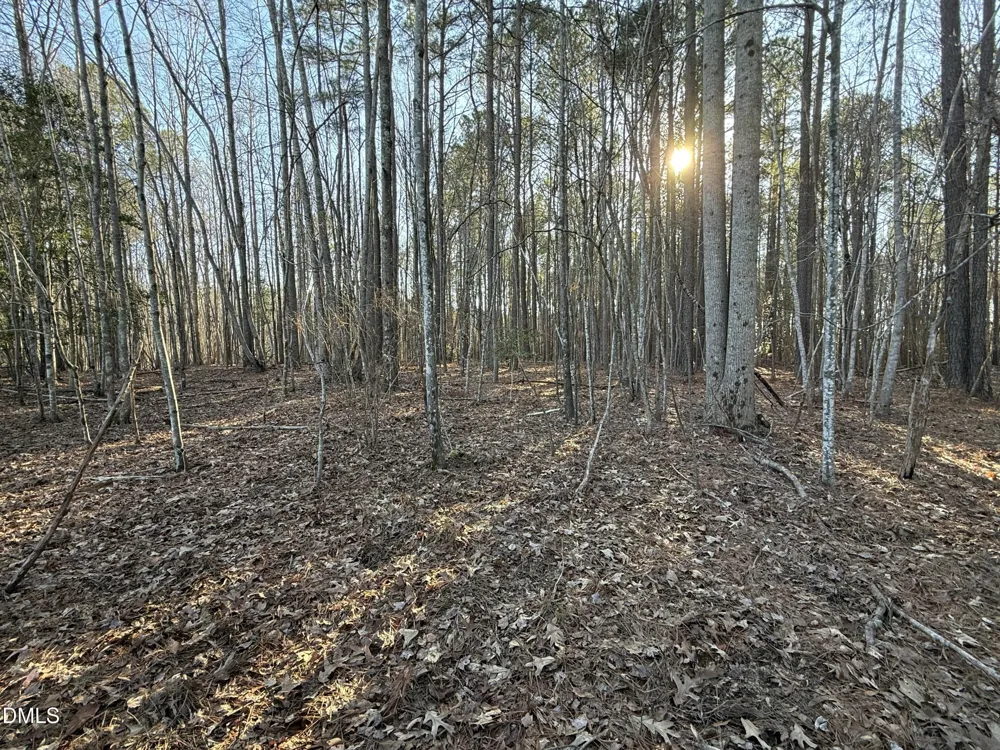 02 Massey Road Zebulon, NC 27597