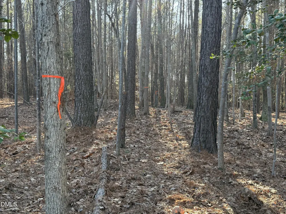 02 Massey Road Zebulon, NC 27597