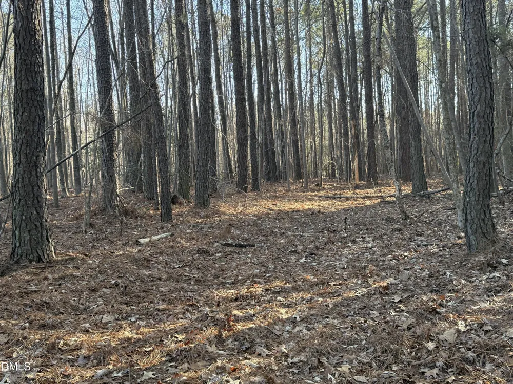 02 Massey Road Zebulon, NC 27597