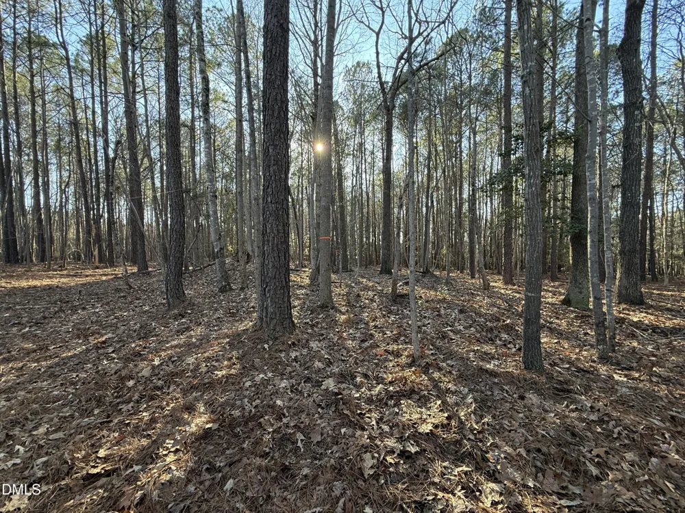 02 Massey Road Zebulon, NC 27597