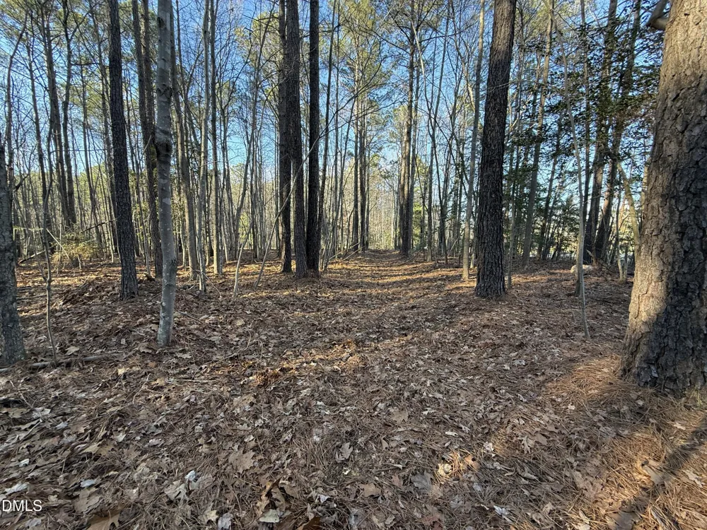 02 Massey Road Zebulon, NC 27597