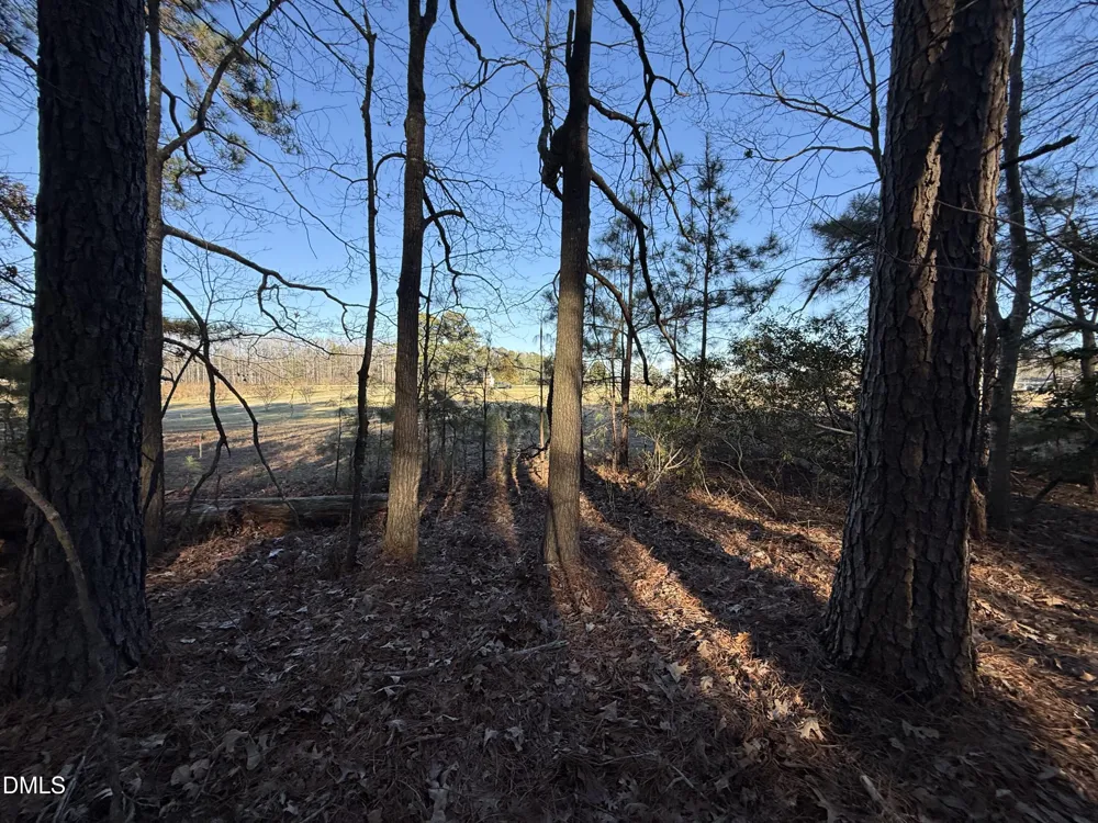 02 Massey Road Zebulon, NC 27597