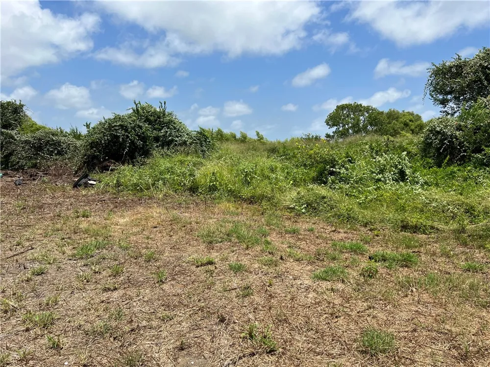 Lot 13 McCullough (Tiner) Ingleside, TX 78362