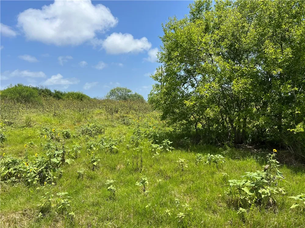 Lot 13 McCullough (Tiner) Ingleside, TX 78362