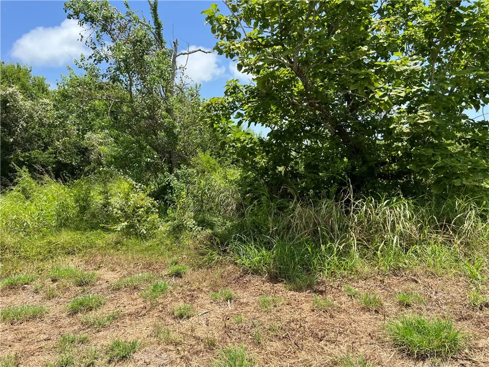 Lot 13 McCullough (Tiner) Ingleside, TX 78362