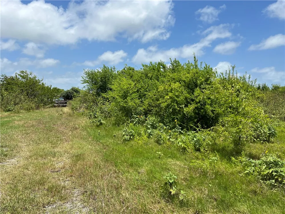 Lot 13 McCullough (Tiner) Ingleside, TX 78362
