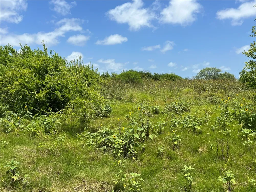 Lot 13 McCullough (Tiner) Ingleside, TX 78362