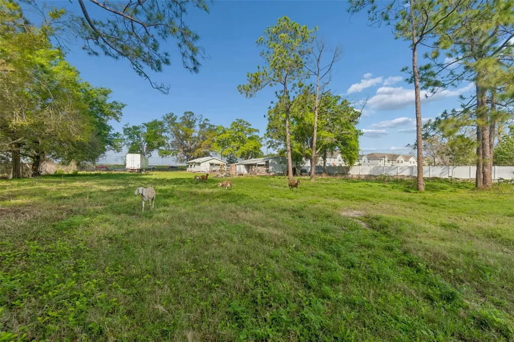 6213 ORIENT ROAD Tampa, FL 33610