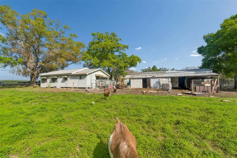 6213 ORIENT ROAD Tampa, FL 33610