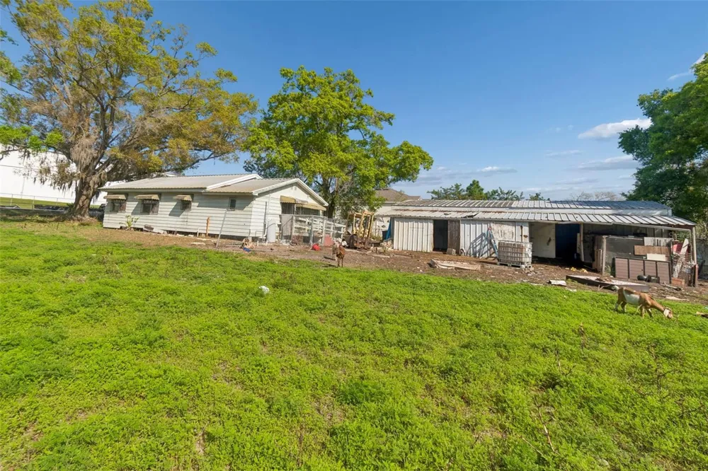 6213 ORIENT ROAD Tampa, FL 33610