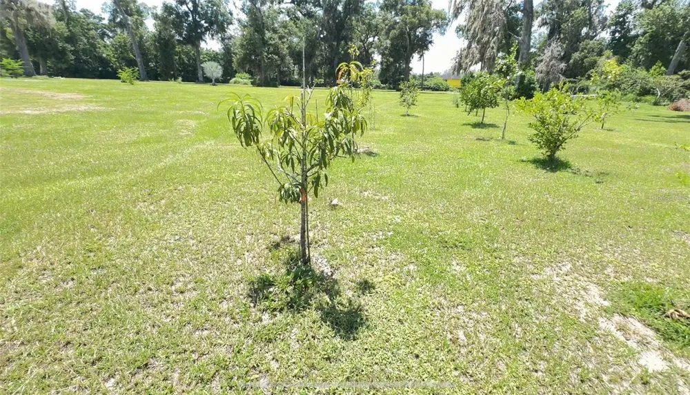 4925 US HIGHWAY 441 ocala, FL 34475