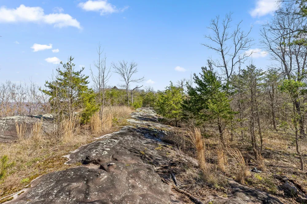 8 W Bluff Road Menlo, GA 30731