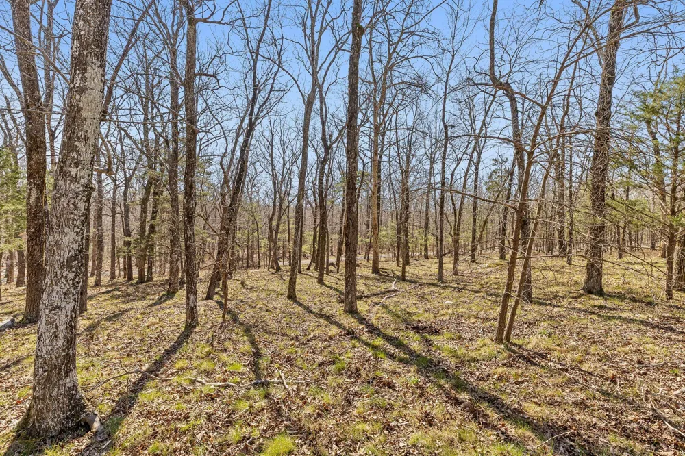 8 W Bluff Road Menlo, GA 30731