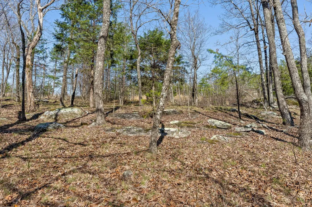 8 W Bluff Road Menlo, GA 30731
