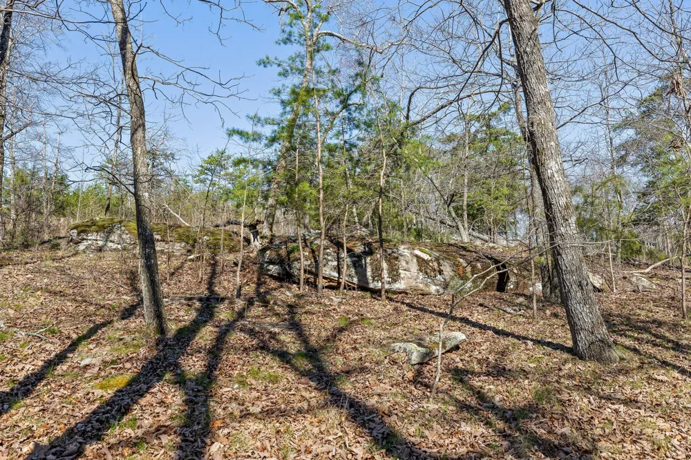 8 W Bluff Road Menlo, GA 30731