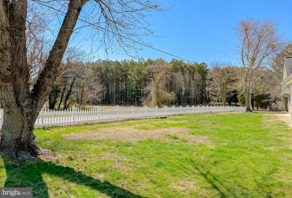 49716 AIREDELE ROAD Ridge, MD 20680