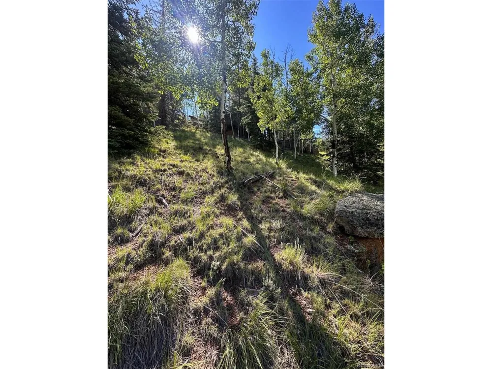 458 Arrowhead Road Florissant, CO 80816