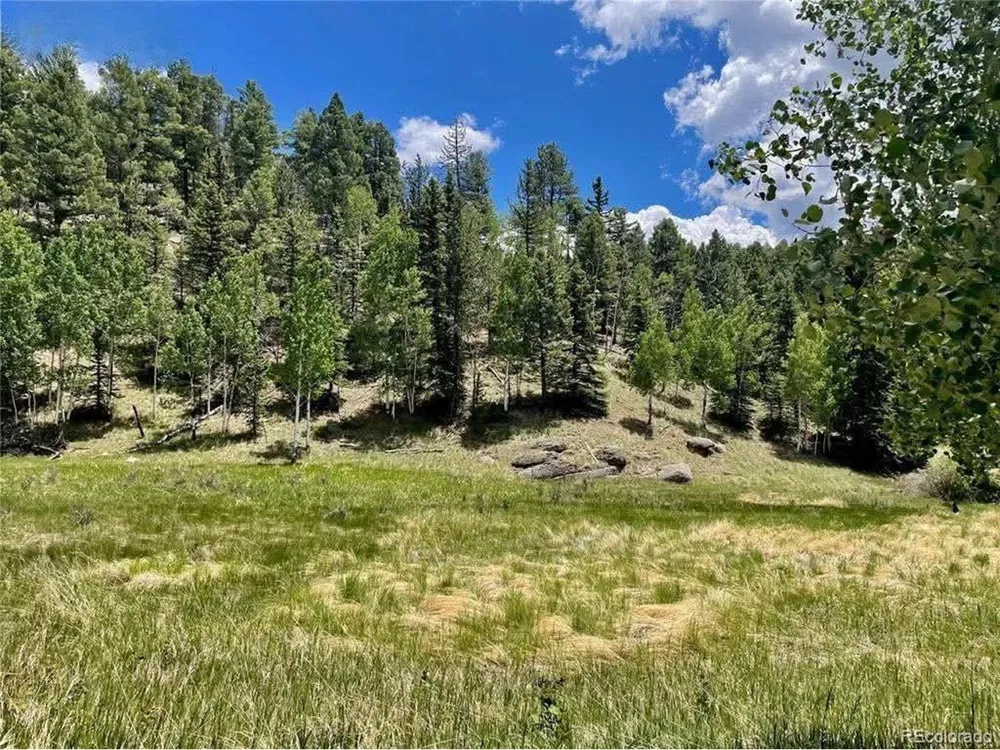 458 Arrowhead Road Florissant, CO 80816