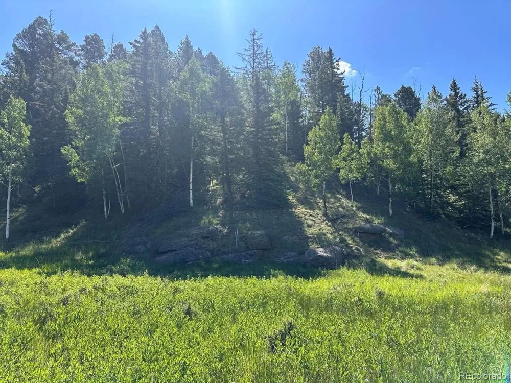 458 Arrowhead Road Florissant, CO 80816