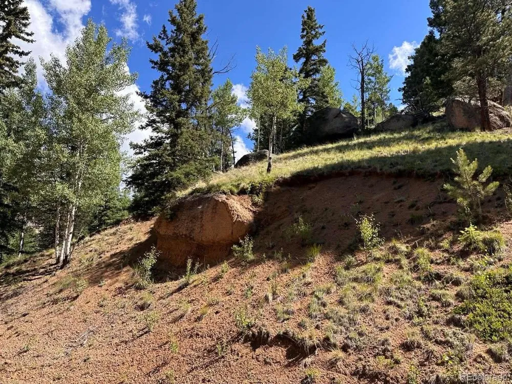 458 Arrowhead Road Florissant, CO 80816
