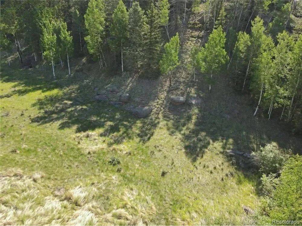 458 Arrowhead Road Florissant, CO 80816
