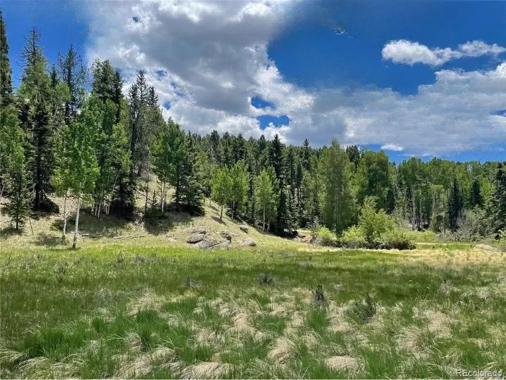 458 Arrowhead Road Florissant, CO 80816